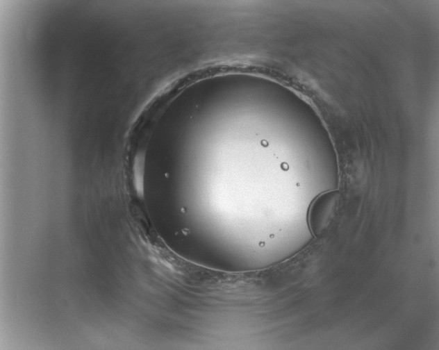 X0000070431256200606161455