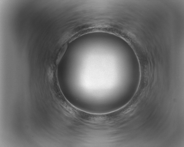 X0000070431257200606161455