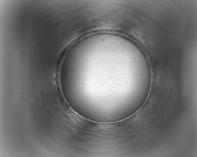 X0000070431258200606161455