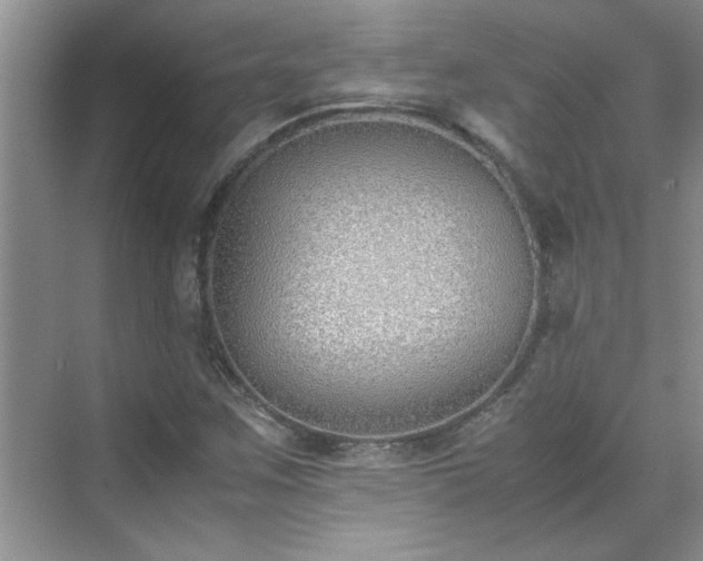 X0000070431259200606161455