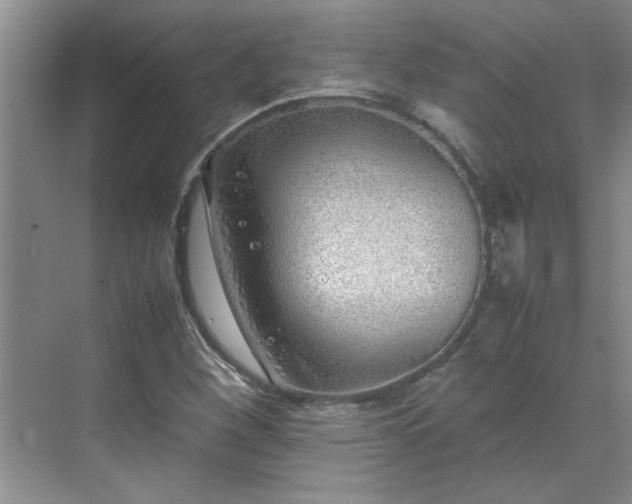 X0000070431260200606161455