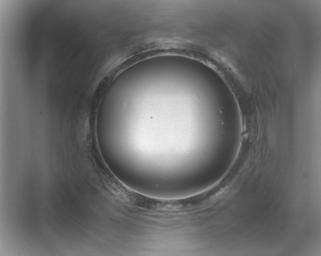 X0000070431261200606161455