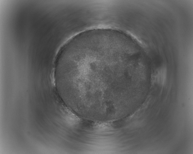 X0000070431262200606161455