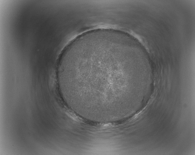 X0000070431263200606161455