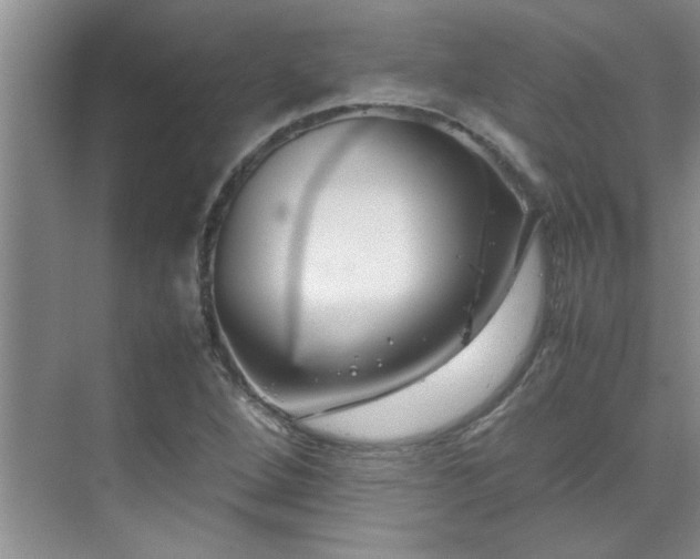 X0000070431264200606161455