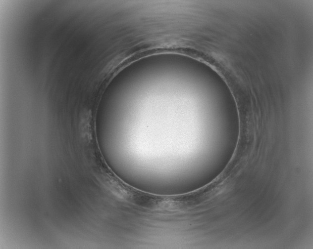 X0000070431265200606161455