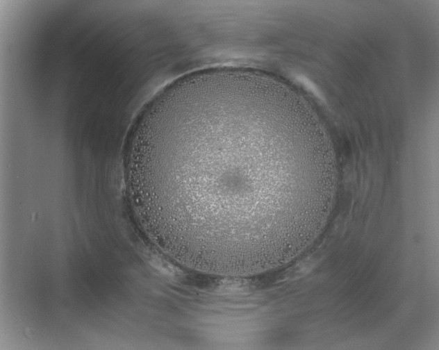 X0000070431267200606161455