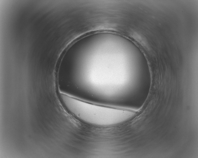 X0000070431268200606161455