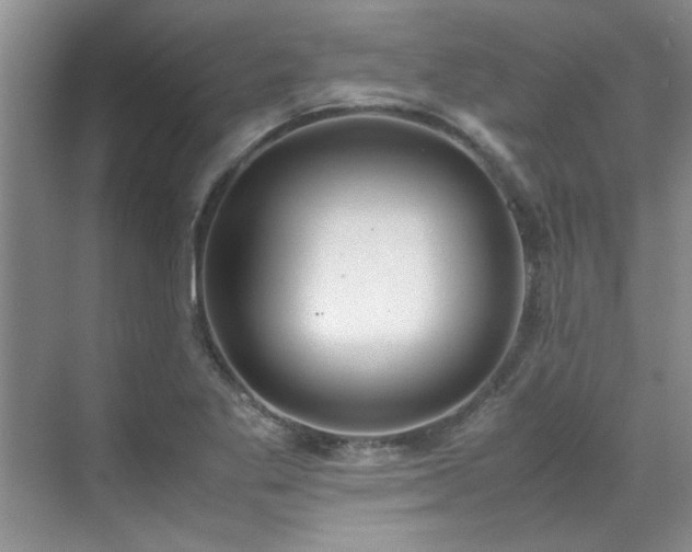 X0000070431269200606161455