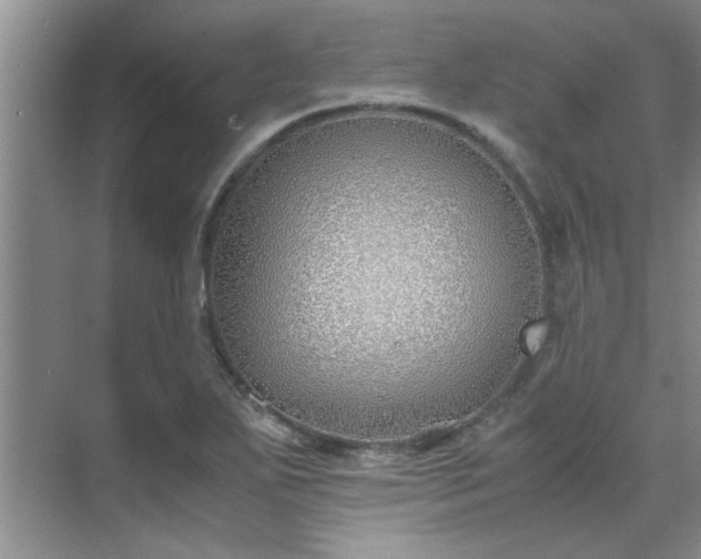 X0000070431271200606161454