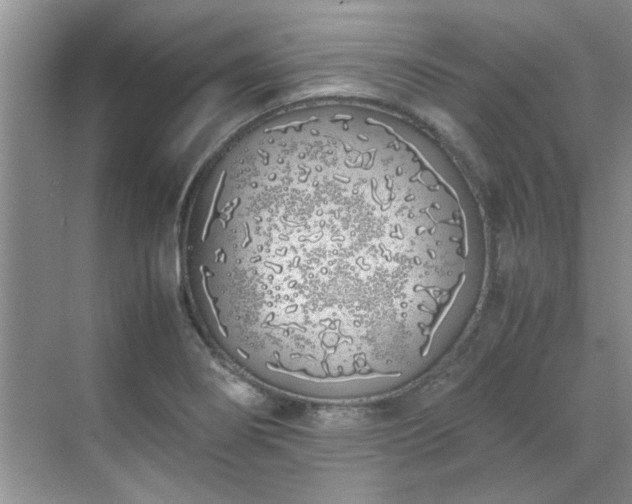 X0000070431274200606161454