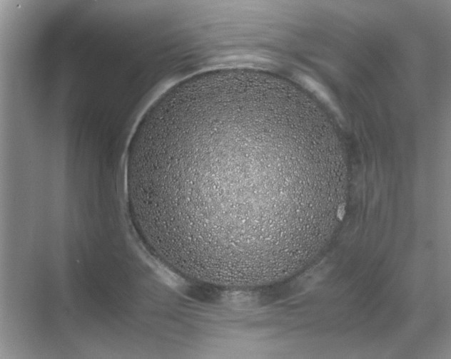 X0000070431275200606161454