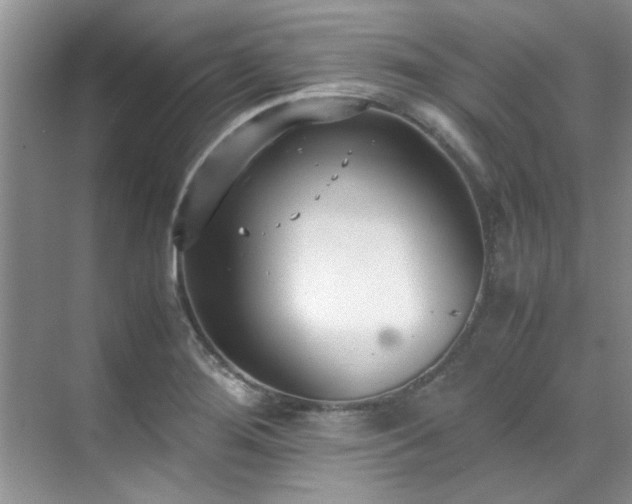 X0000070431276200606161454