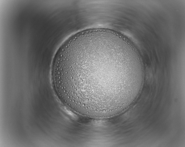 X0000070431278200606161454