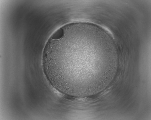 X0000070431279200606161454