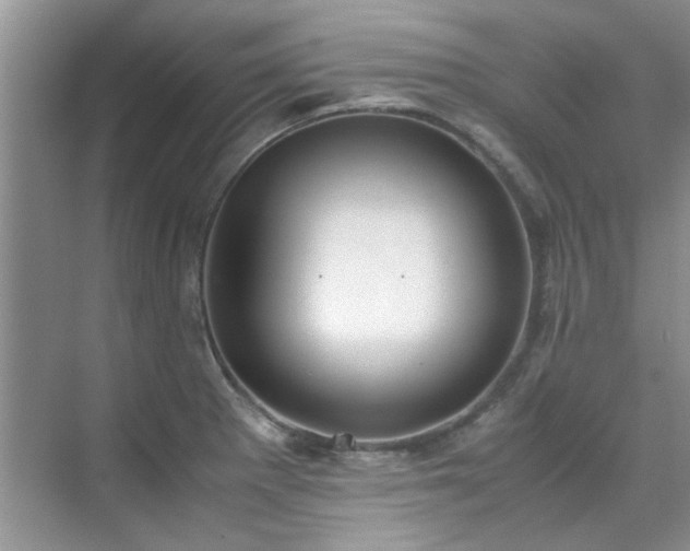 X0000070431281200606161454