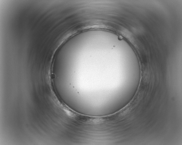 X0000070431282200606161454