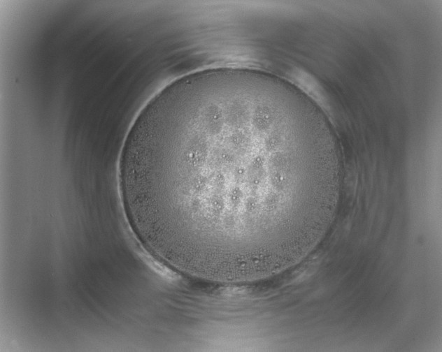 X0000070431283200606161454