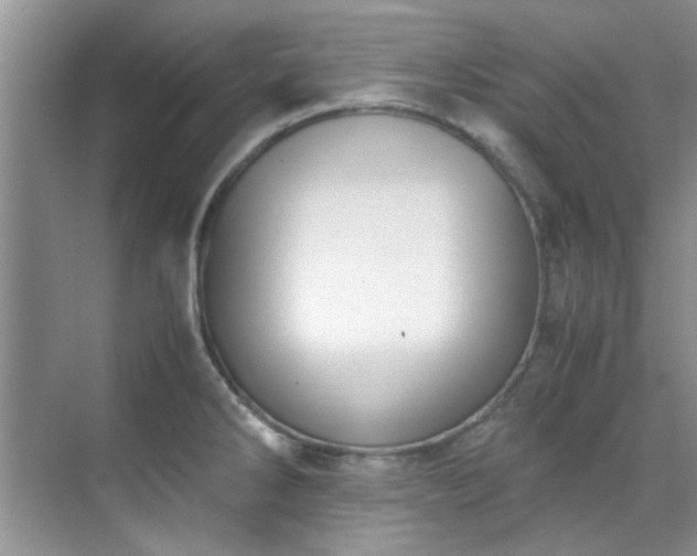 X0000070431286200606161454