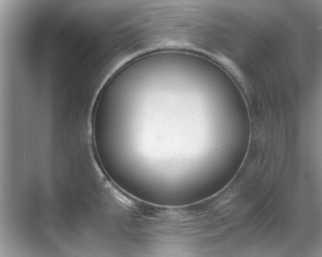 X0000070431287200606161454