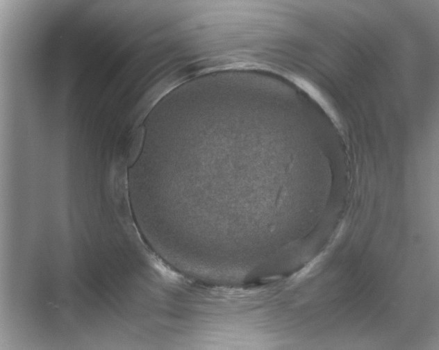 X0000070431289200606161454