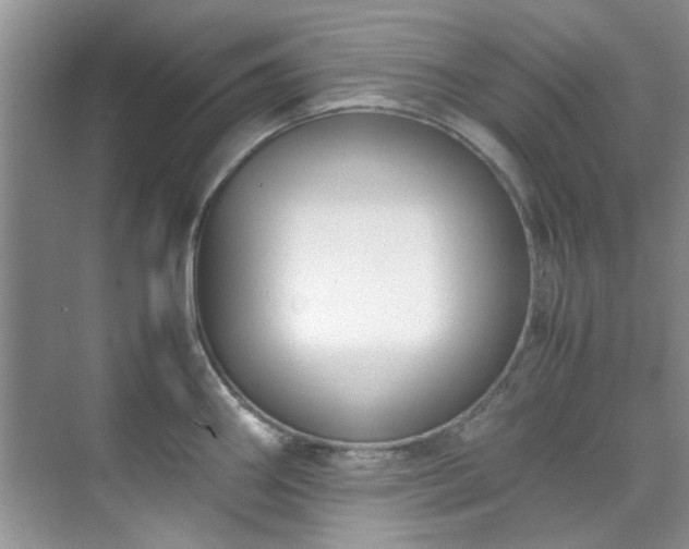 X0000070431290200606161454