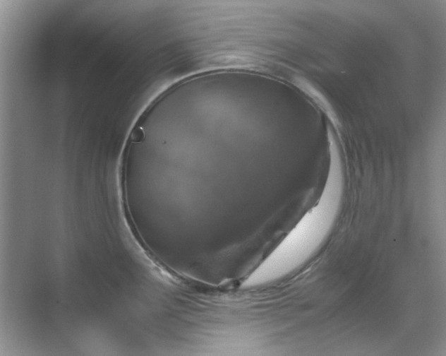 X0000070431291200606161454