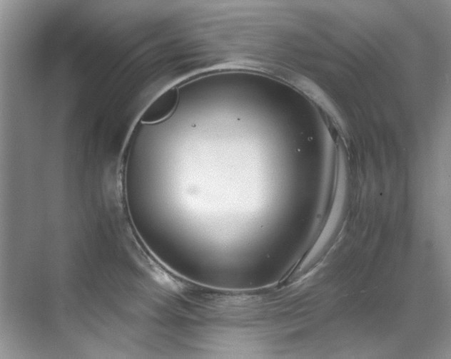 X0000070431292200606161454