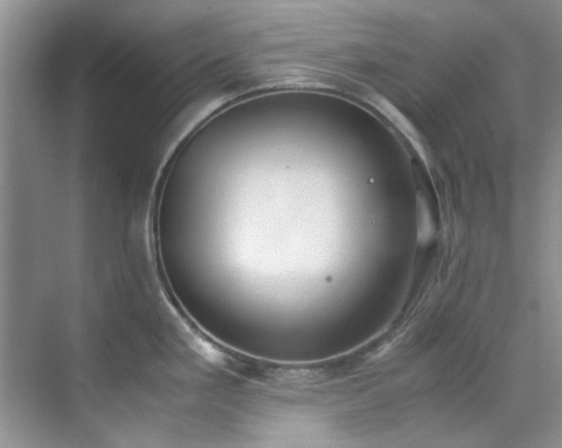 X0000070431293200606161454