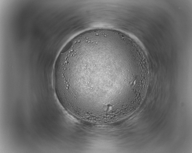 X0000070431295200606161454