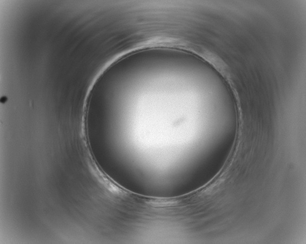 X0000070431296200606161454