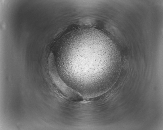 X0000070431297200606161453