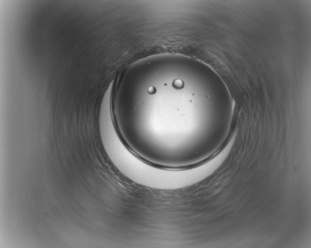 X0000070431298200606161453