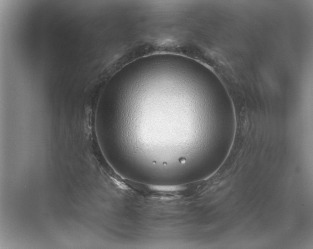 X0000070431301200606161453