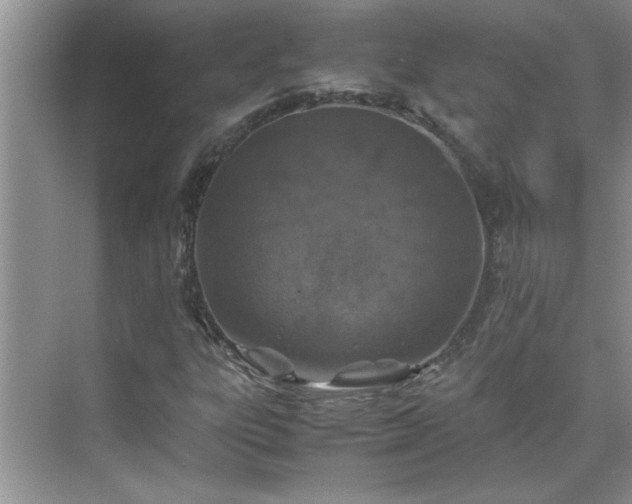 X0000070431303200606161453