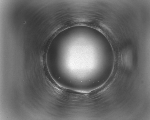 X0000070431305200606161453