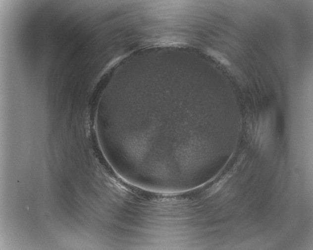 X0000070431306200606161453