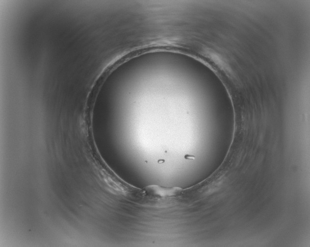 X0000070431308200606161453