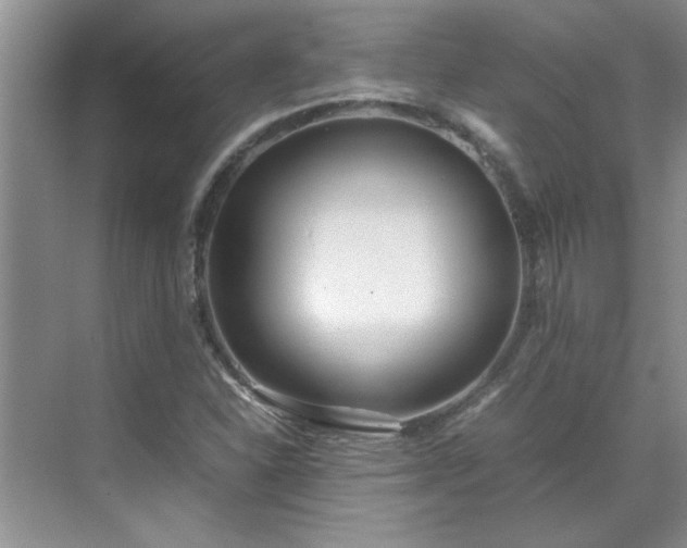 X0000070431310200606161453