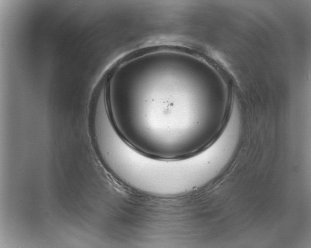 X0000070431312200606161453