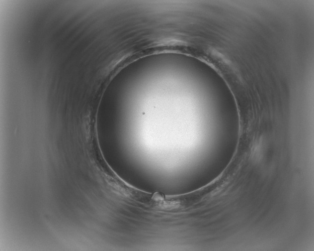 X0000070431313200606161453