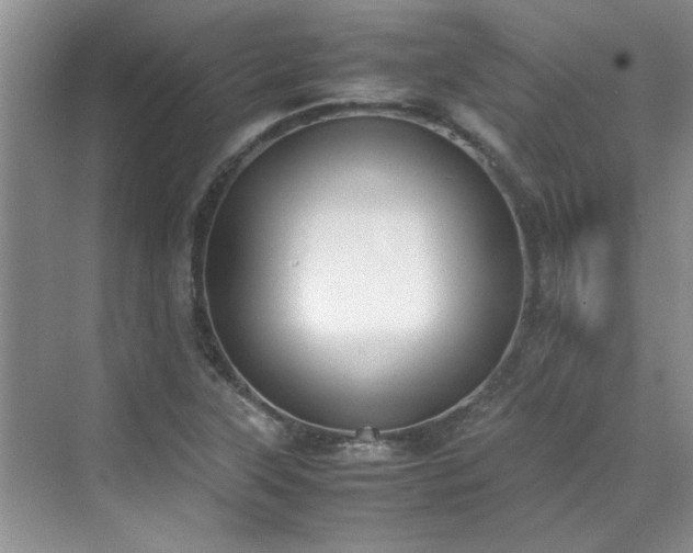 X0000070431315200606161454