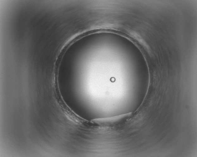 X0000070431316200606161454