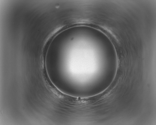 X0000070431317200606161454