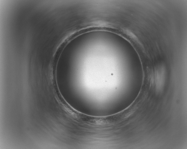 X0000070431318200606161454