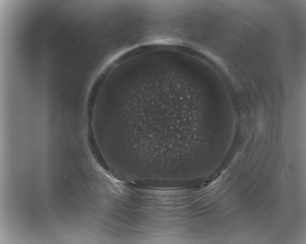 X0000070431319200606161454