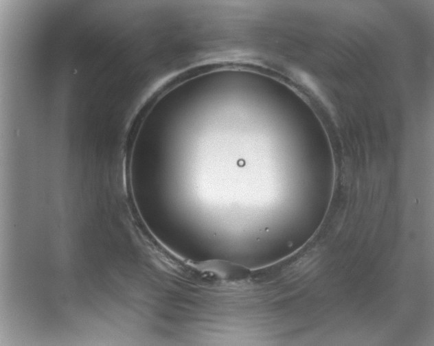 X0000070431320200606161454