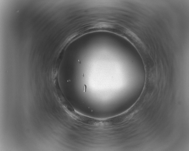 X0000070431321200606161454