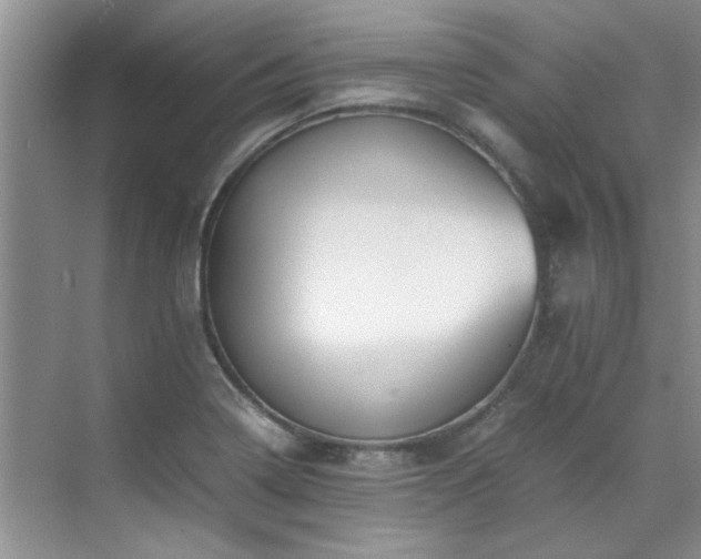 X0000070431322200606161454