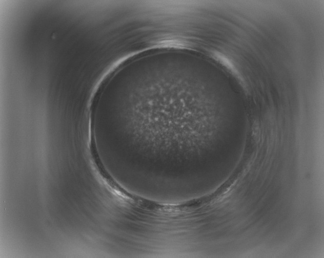 X0000070431323200606161454